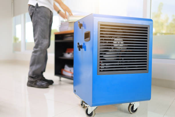 Best HVAC Mold Inspection and Cleaning  in Coalville, UT